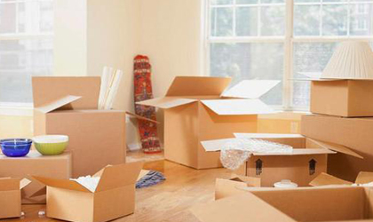 Domestic Relocation Services